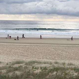 ゴールドコースト サーフィン レッスンとサーフ ガイド Surf Sato