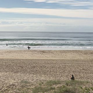 ゴールドコースト サーフィン レッスンとサーフ ガイド Surf Sato